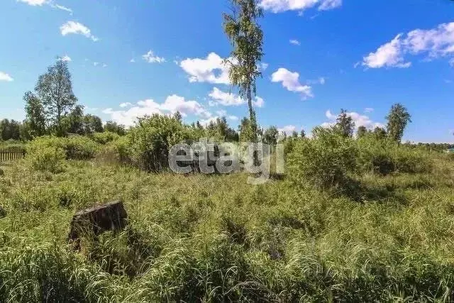 Участок в Тюменская область, Нижнетавдинский муниципальный округ, ... - Фото 0