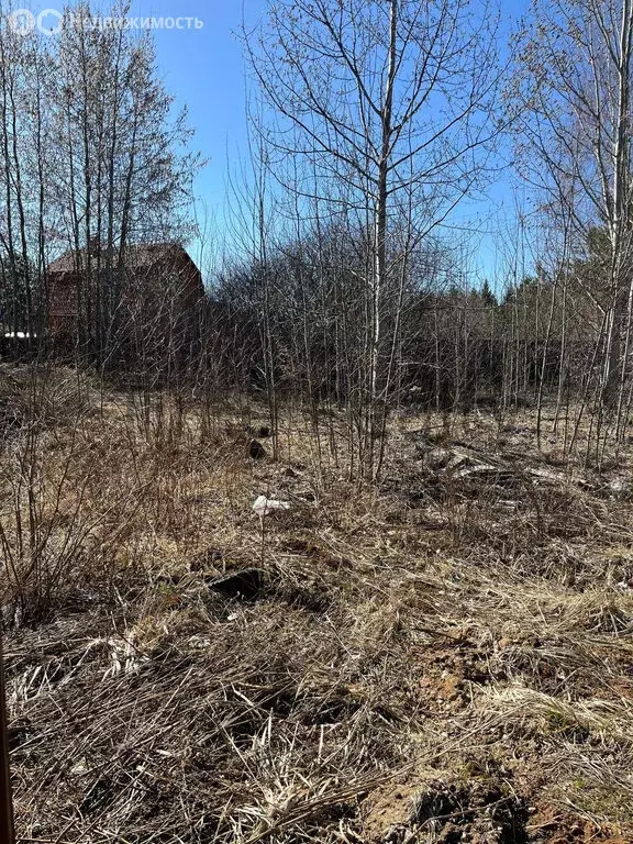 Участок в Одинцовский городской округ, СНТ Горки-2, 256 (10 м) - Фото 0