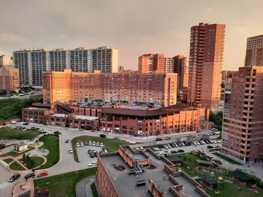 Торговая площадь в Новосибирская область, Новосибирск Стартовая ул., ... - Фото 0