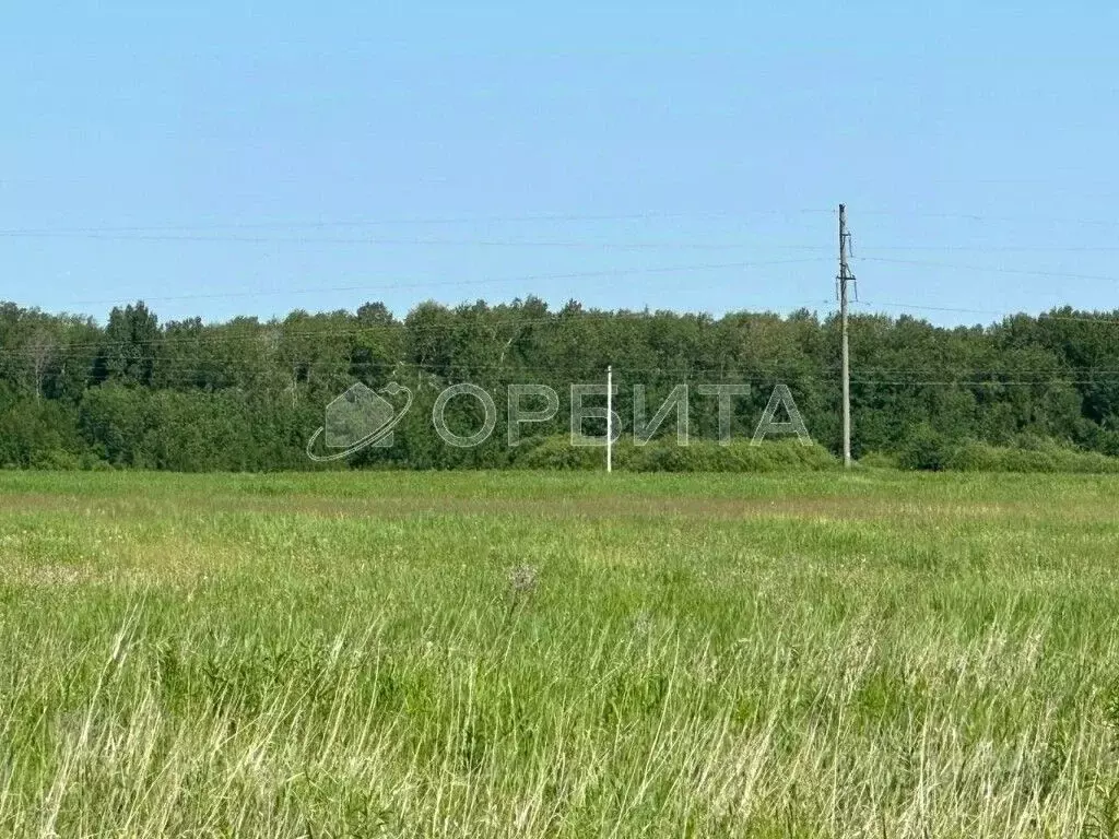 Участок в Тюменская область, Тюменский район, д. Елань, Московские ... - Фото 1