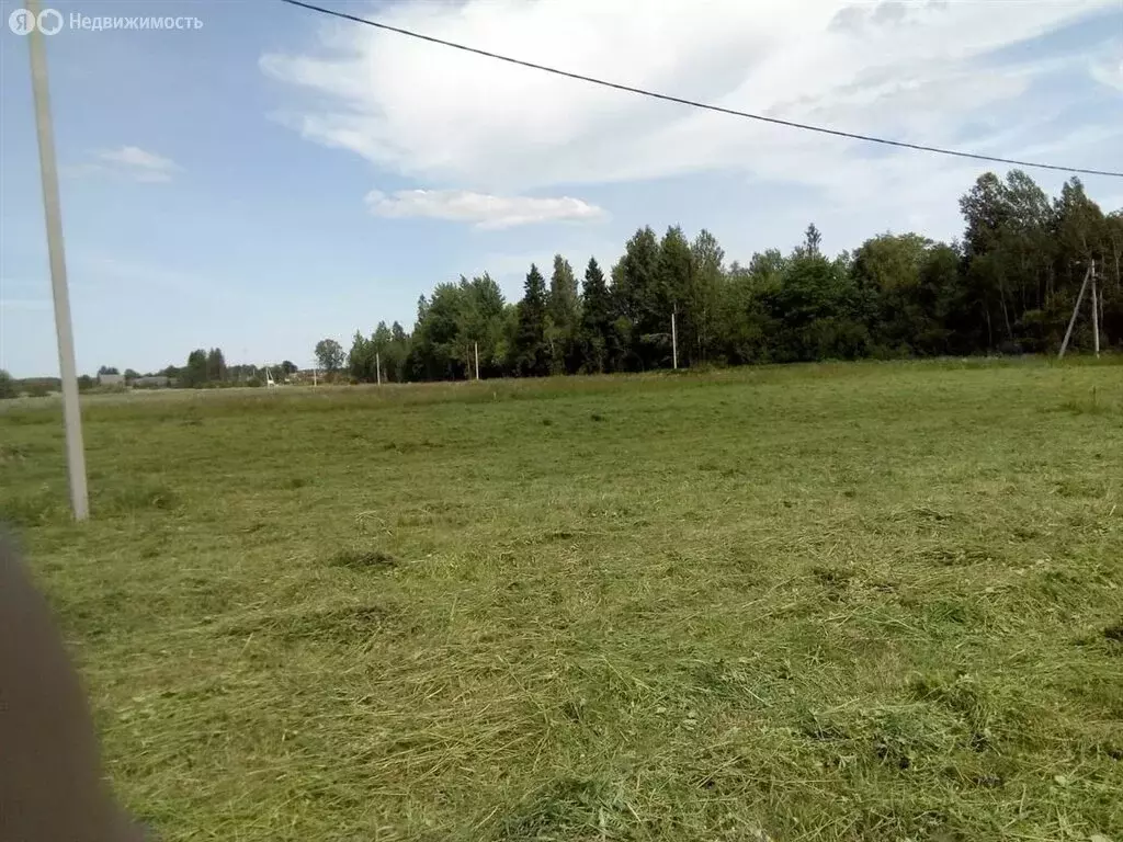 Участок в Мшинское сельское поселение, деревня Большая Ящера (15 м) - Фото 1