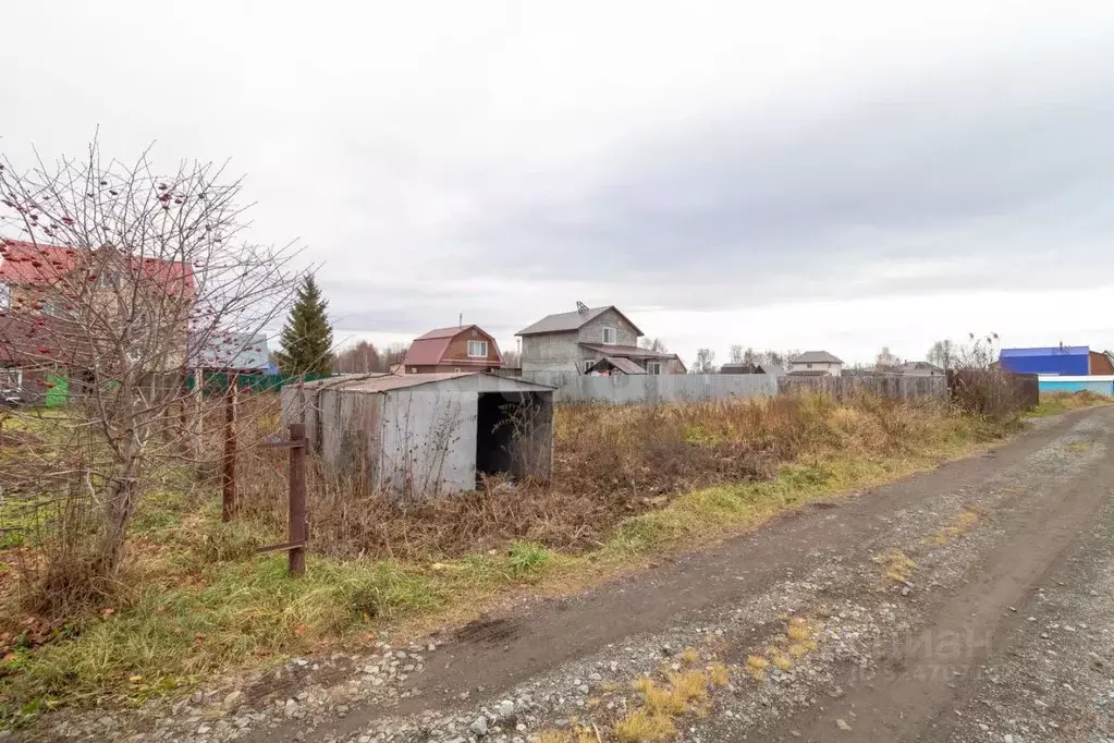 Участок в Тюменская область, Тюмень Лаванда садовое товарищество, ул. ... - Фото 1
