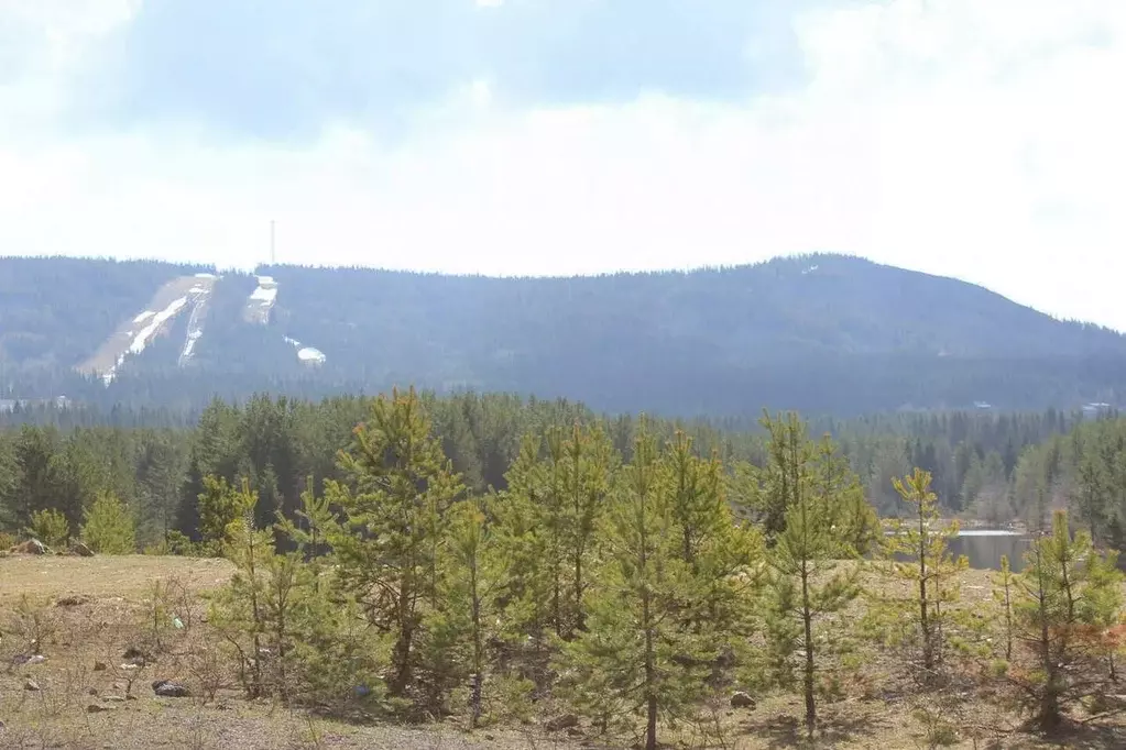 Участок в Свердловская область, Нижний Тагил муниципальный округ, пос. ... - Фото 1