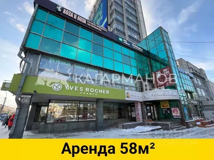 Помещение свободного назначения в Новосибирская область, Новосибирск ... - Фото 0