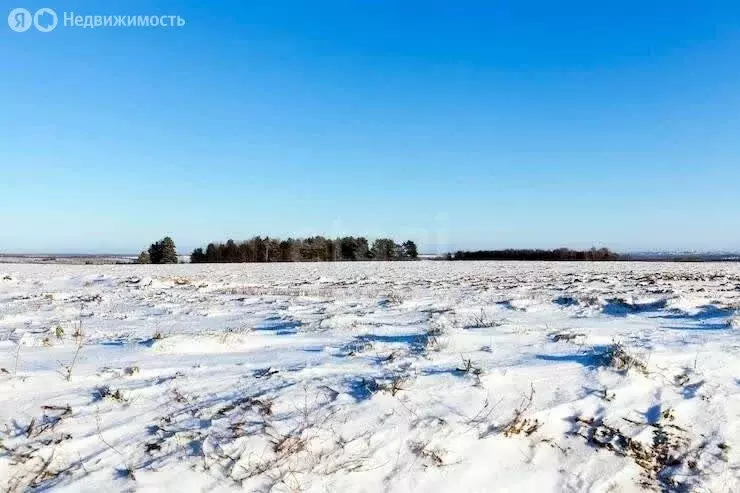 Участок в Брянская область, Жуковский муниципальный округ, село ... - Фото 1