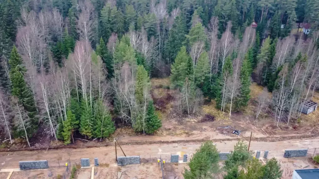 Участок в Ленинградская область, Выборгский район, Первомайское с/пос, ... - Фото 1