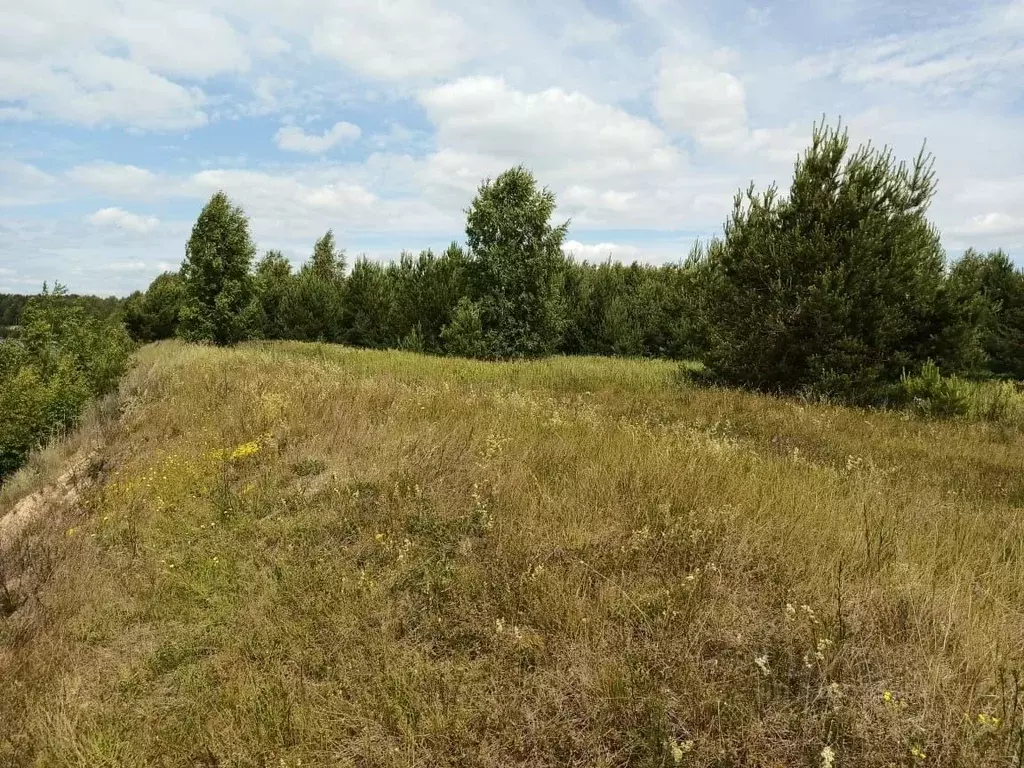 Участок в Нижегородская область, Сокольский городской округ, д. ... - Фото 1