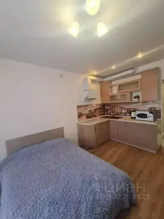 1-к кв. Московская область, Одинцово ул. Каштановая, 16 (27.0 м) - Фото 2