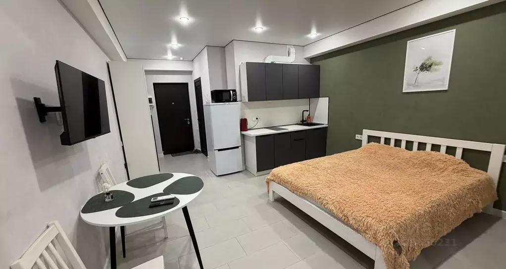 Студия Краснодарский край, Сочи Пластунская ул., 104Бк1 (30.0 м) - Фото 2