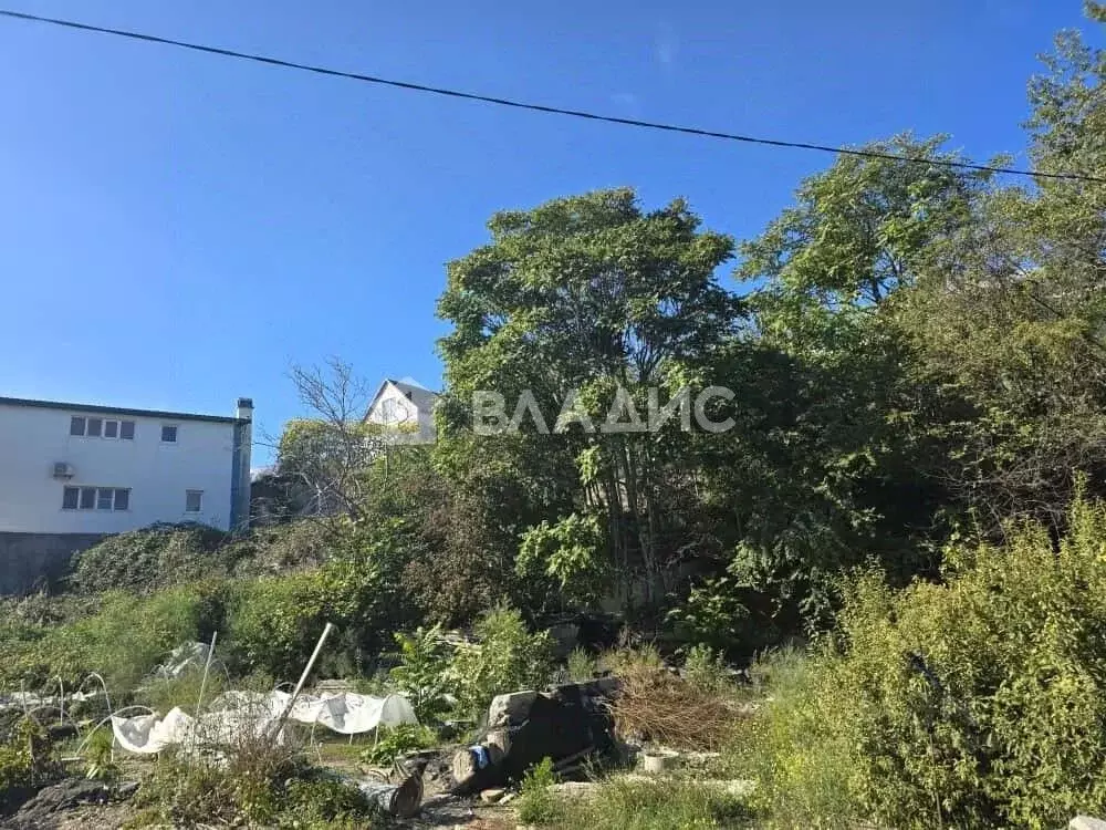 Участок в Краснодарский край, Новороссийск ул. Сулеймана Стальского, ... - Фото 1