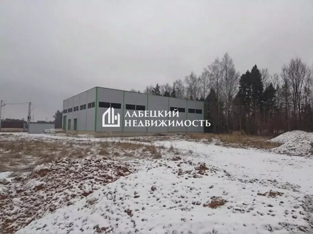 Склад в Московская область, Ступино городской округ, д. Авдотьино ул. ... - Фото 2