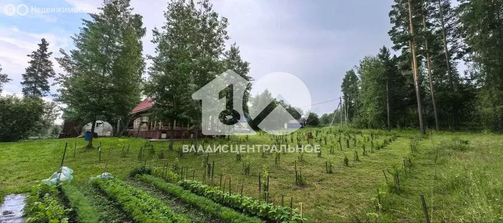 Участок в Барышевский сельсовет, садоводческое некоммерческое ... - Фото 0