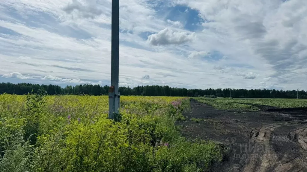 Участок в Тюменская область, Тюменский район, с. Горьковка  (2.0 сот.) - Фото 0