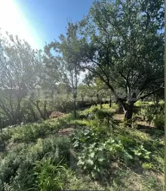 Участок в Ростовская область, Новочеркасск № 16 садовое товарищество, ... - Фото 1