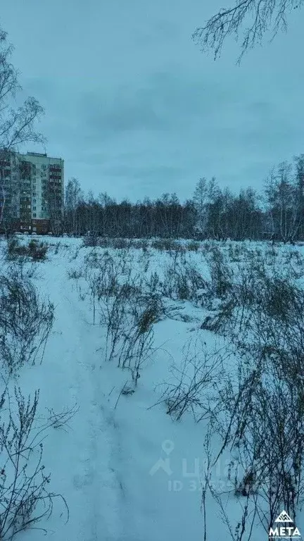 Участок в Омская область, Омск Московка-2 мкр,  (50.0 сот.) - Фото 2