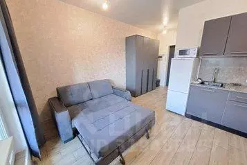 1-к кв. Санкт-Петербург Земледельческая ул., 3 (24.0 м) - Фото 0