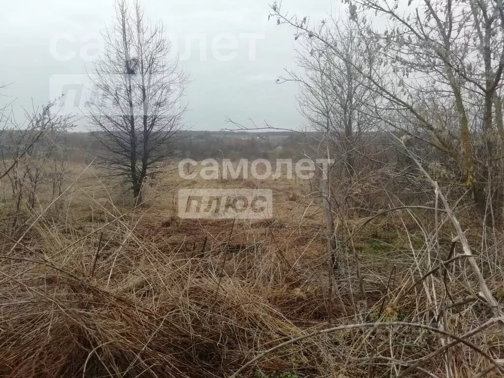 Участок в Липецкая область, Липецкий муниципальный округ, с. Маховище ... - Фото 1