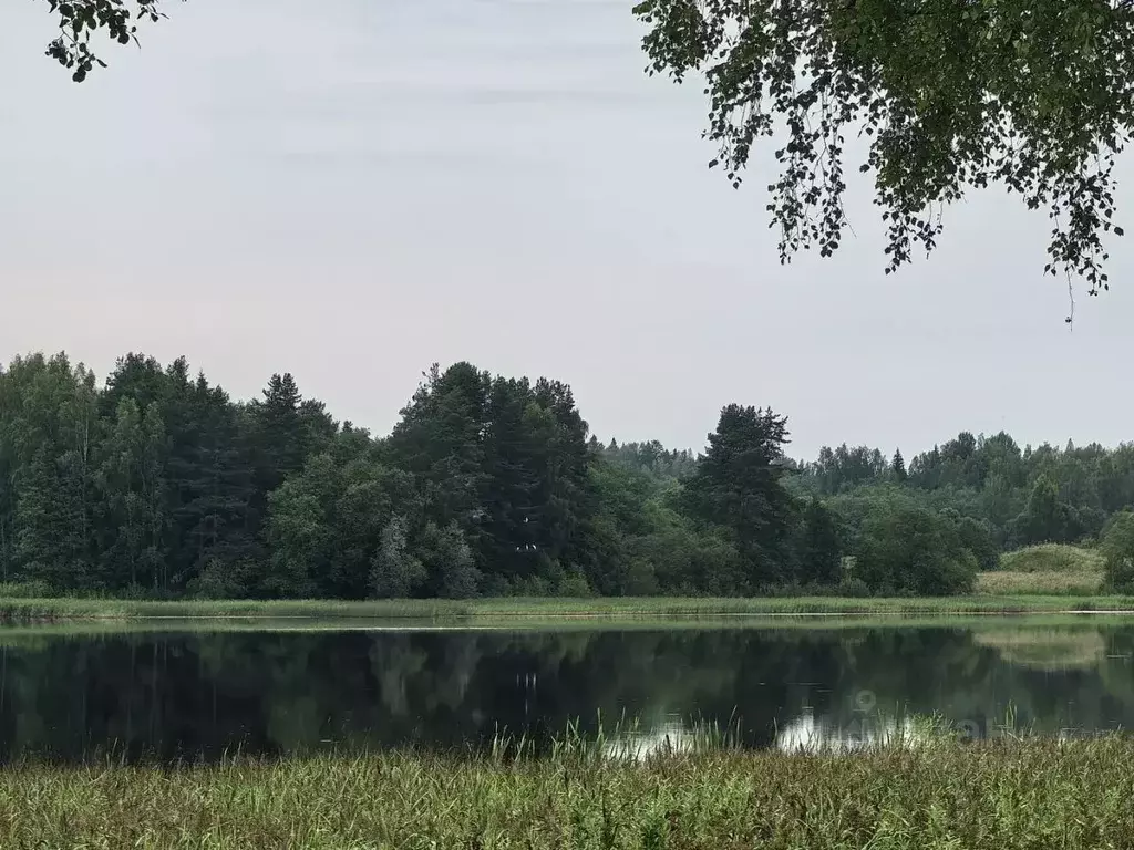 Дом в Новгородская область, Валдайский муниципальный район, ... - Фото 1
