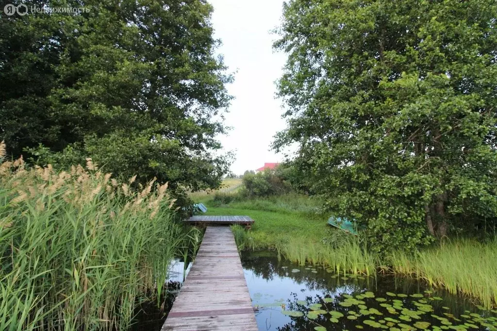 Участок в Выборгский район, Каменногорское городское поселение, ... - Фото 1