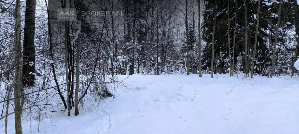 Участок в Ленинградская область, Всеволожск Пушкинская ул., 124 (20.2 ... - Фото 2