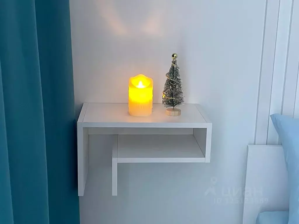 Студия Новосибирская область, Мошковский район, пос. Октябрьский ул. ... - Фото 2