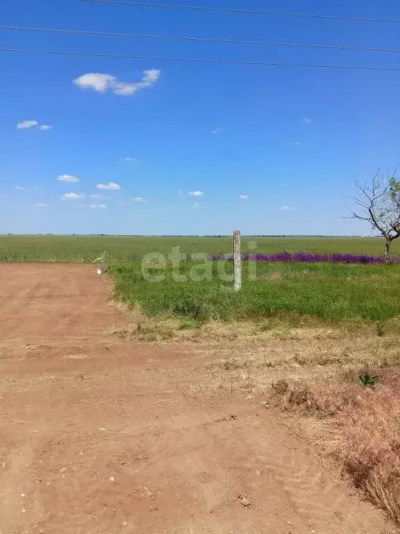 участок в крым, сакский район, с. молочное ул. пионерская (6.3 сот.) - Фото 1