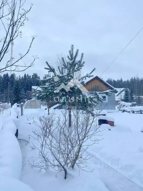 Дом в Вологодская область, Междуреченский муниципальный округ, с. ... - Фото 1