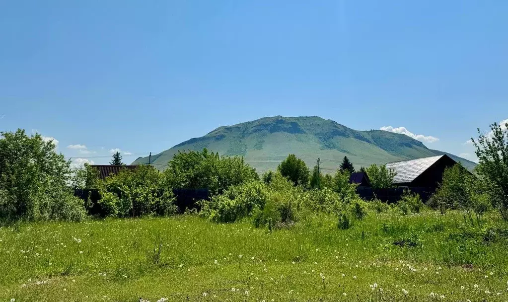 Участок в Хакасия, Черногорск Район Опытное Поле СНТ, ул. Малиновая, ... - Фото 0