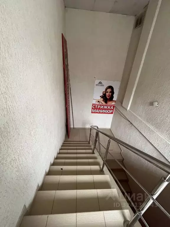 Помещение свободного назначения в Ставропольский край, Ставрополь ул. ... - Фото 2