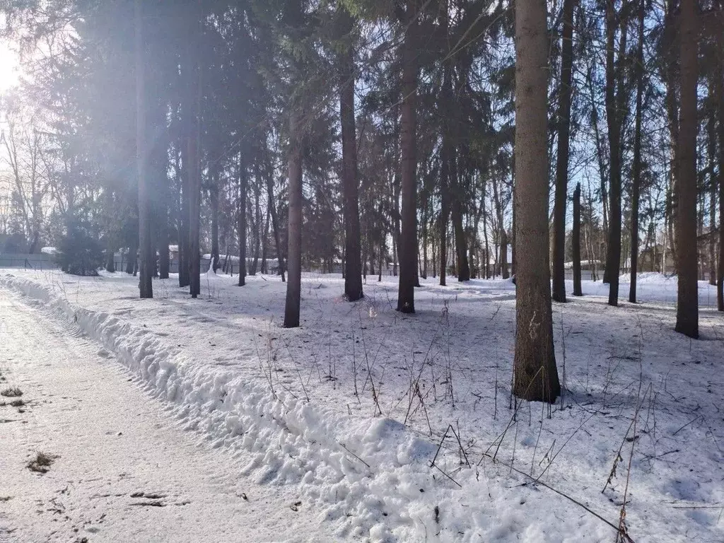 Участок в Московская область, Истра городской округ, д. Павловское  ... - Фото 1