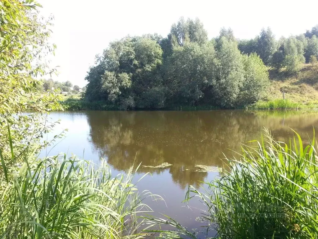 участок в тверская область, кашинский городской округ, д. ратчино . - Фото 0