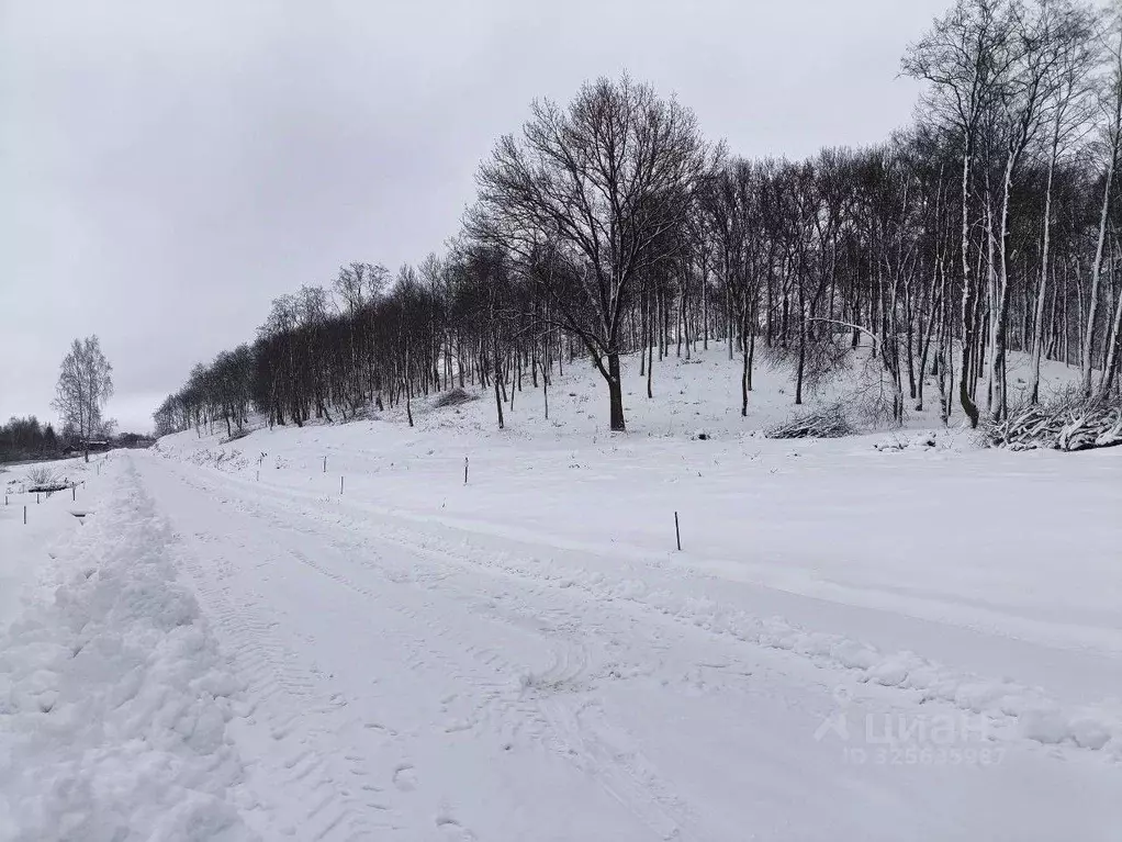 Участок в Московская область, Дмитровский муниципальный округ, д. ... - Фото 2