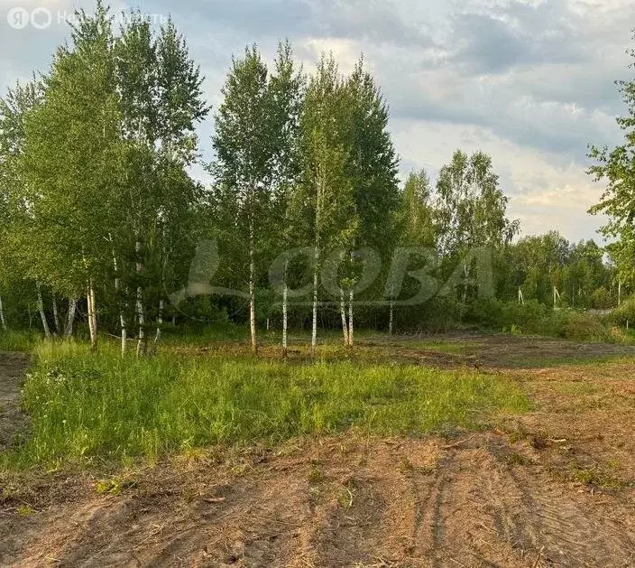 Участок в Тюменский район, деревня Головина (48 м) - Фото 1