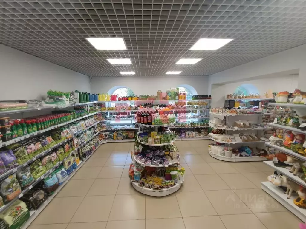 Торговая площадь в Тюменская область, Тюмень ул. 50 лет Октября, 26 ... - Фото 1