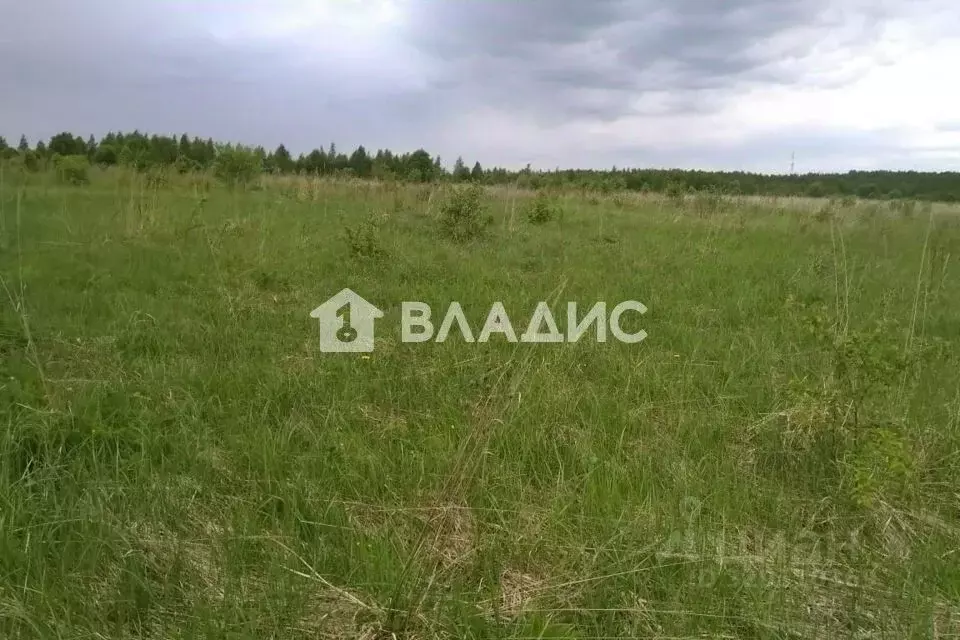 Участок в Ивановская область, Ивановский муниципальный округ, с. ... - Фото 1
