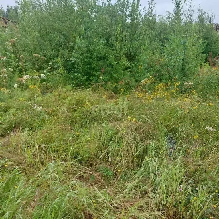 Участок в Ханты-Мансийский АО, Нижневартовский район, Излучинск ... - Фото 0