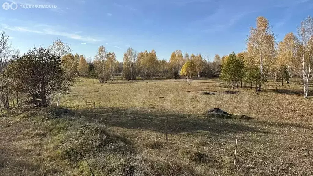 Участок в Тюмень, территория СОСН Берёзка-3 (4 м) - Фото 1