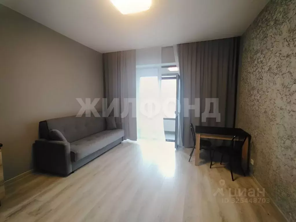 Студия Новосибирская область, Новосибирск Красный просп., 220 (28.0 м) - Фото 1