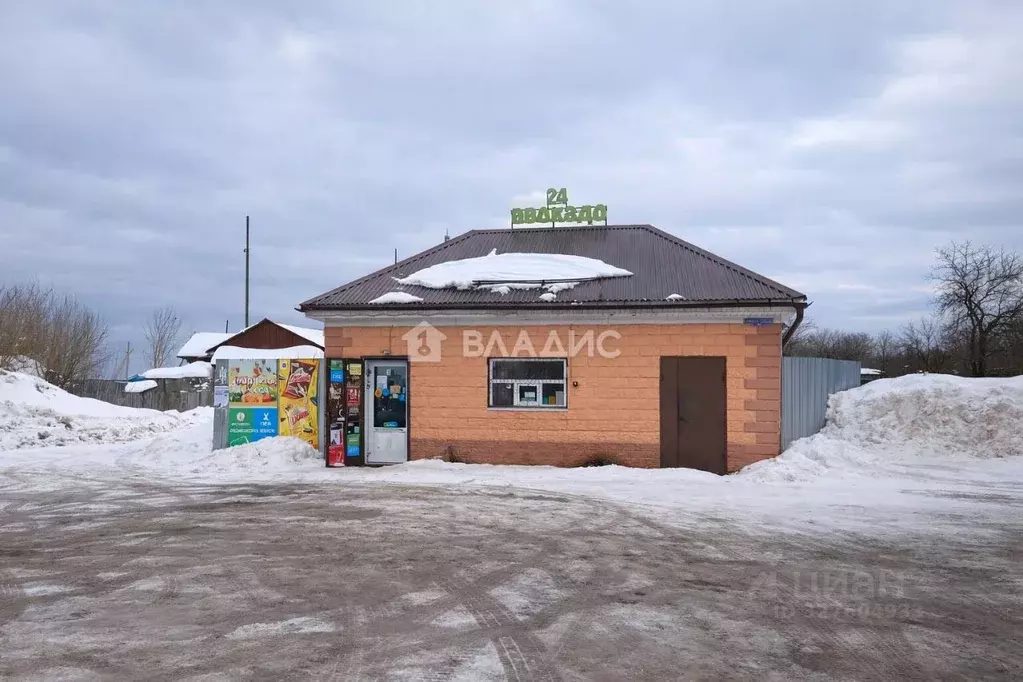 Дом в Ивановская область, Шуйский район, Афанасьевское с/пос, с. ... - Фото 1