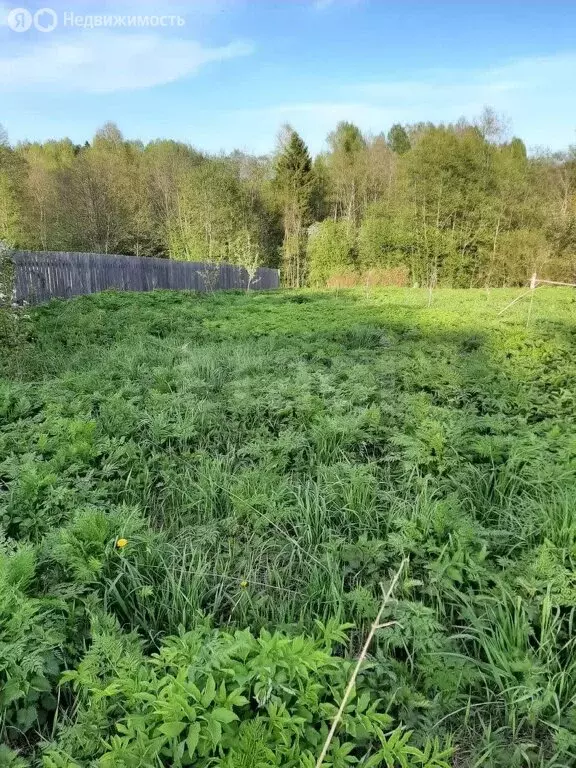 Участок в Сенькино, квартал Скальная (15 м) - Фото 0