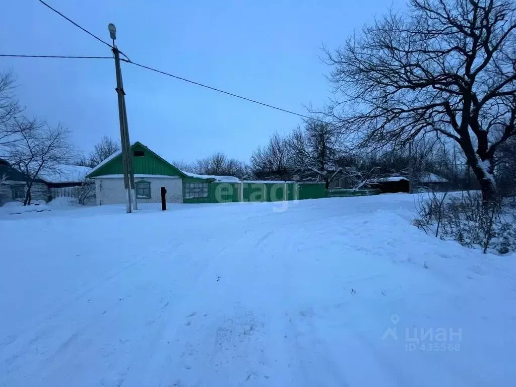 Дом в Белгородская область, Красненский район, Камызинское с/пос, с. ... - Фото 0