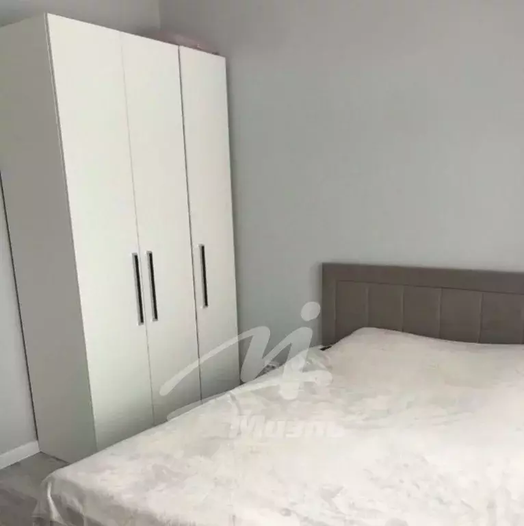 3-к кв. Московская область, Солнечногорск городской округ, Голубое пгт ... - Фото 2