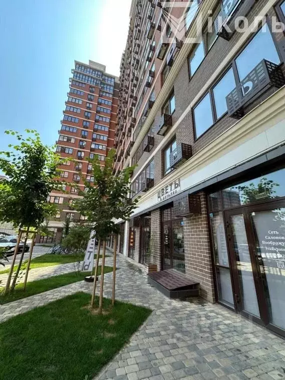 Студия Краснодарский край, Краснодар ул. Западный обход, 57к3 (29.0 м) - Фото 1