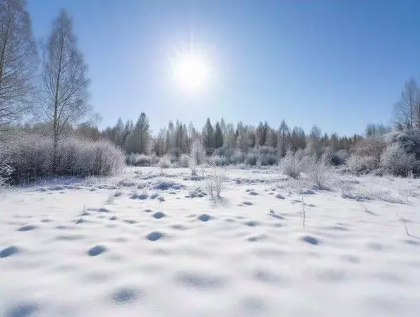 Участок в Новгородская область, Чудовский район, Грузинское с/пос, д. ... - Фото 1