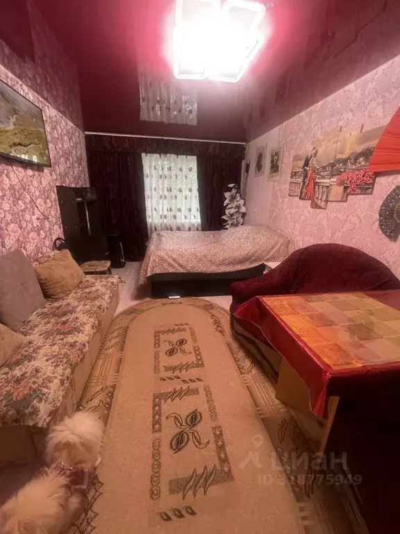 2-к кв. Челябинская область, Сатка Бакальская ул., 9 (44.1 м) - Фото 0