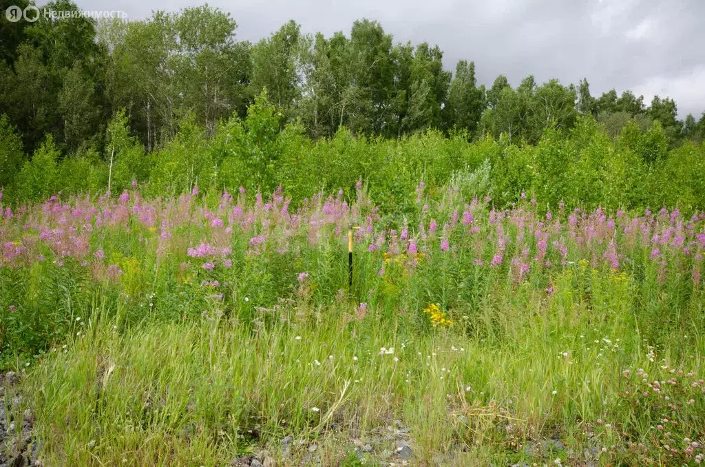 Участок в Заводоуковск, улица Хлеборобов (9.6 м) - Фото 2
