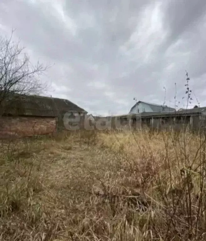 Участок в Брянская область, Брянский район, Добрунское с/пос, пос. ... - Фото 1