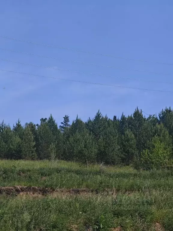 Участок в Красноярский край, Емельяново городское поселение, д. Крутая ... - Фото 0