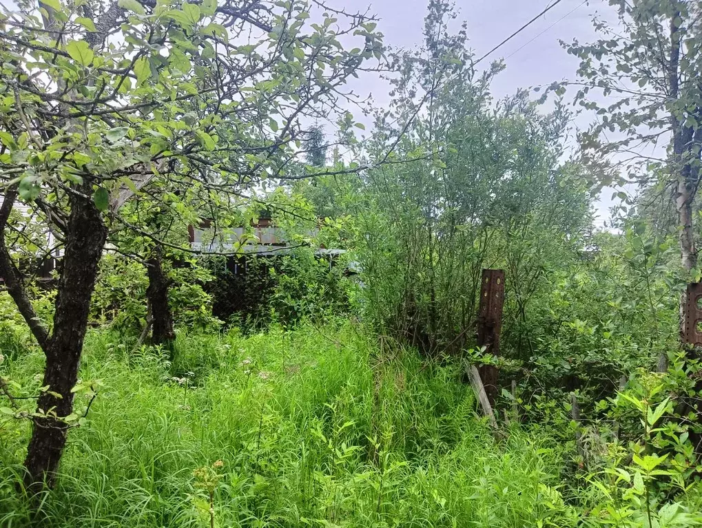 Участок в Ленинградская область, Кировский район, Синявинское ... - Фото 1