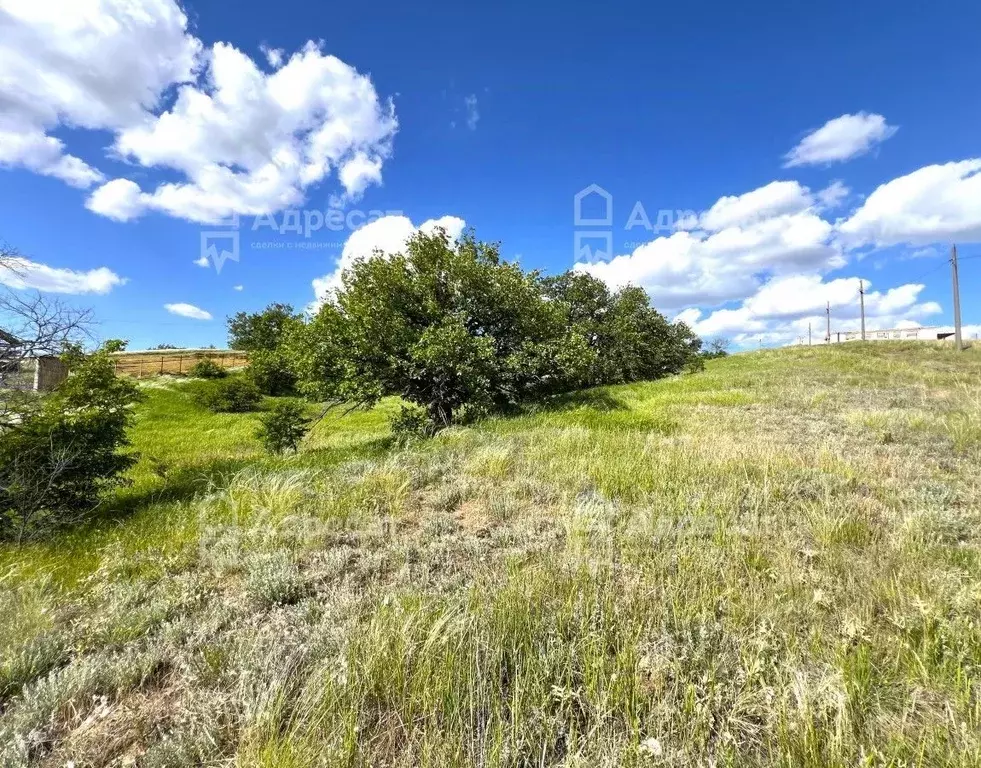 Участок в Волгоградская область, Городищенский район, Царицынское ... - Фото 1